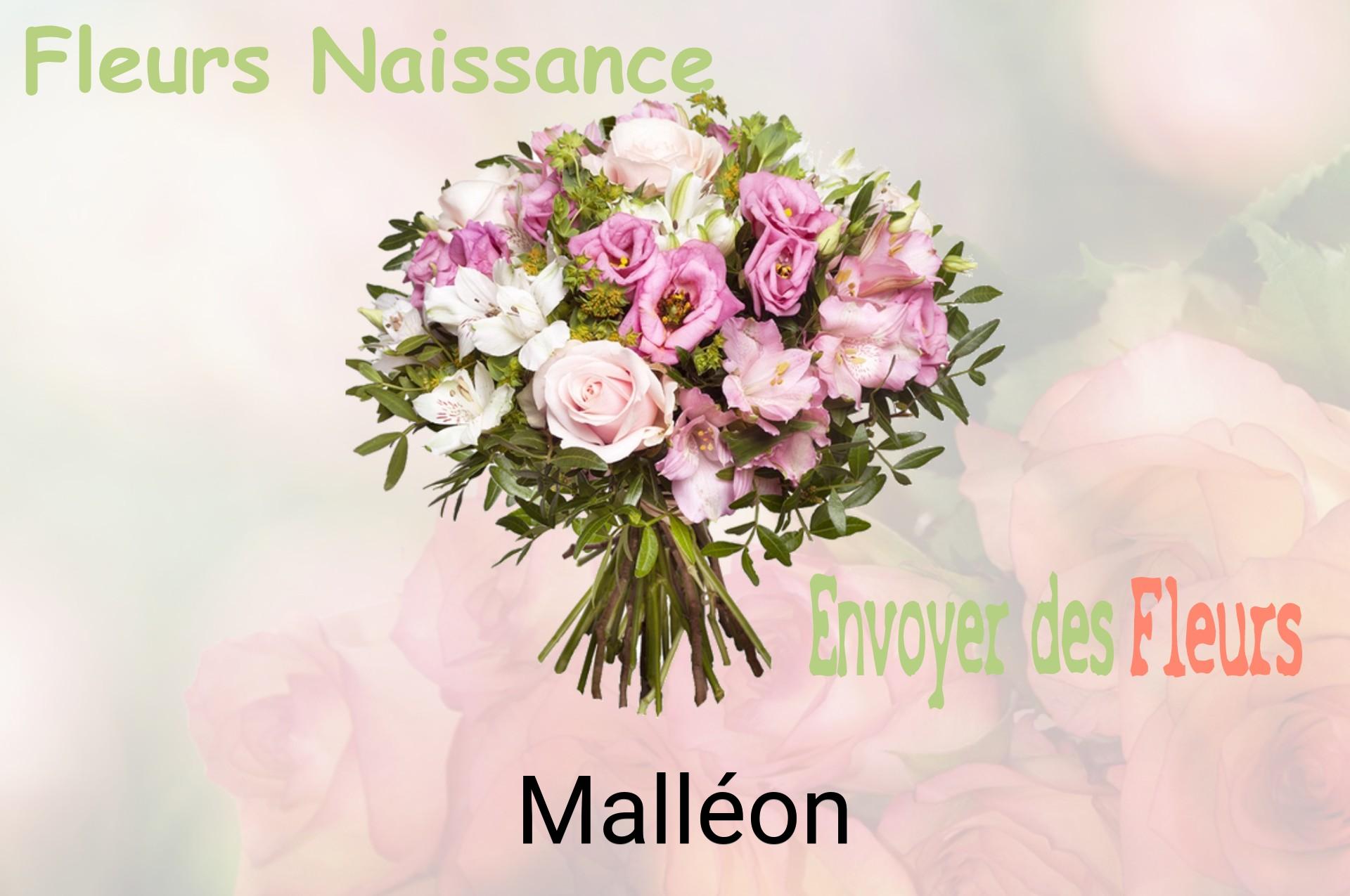 Bouquet de fleurs de naissance livré à Malléon