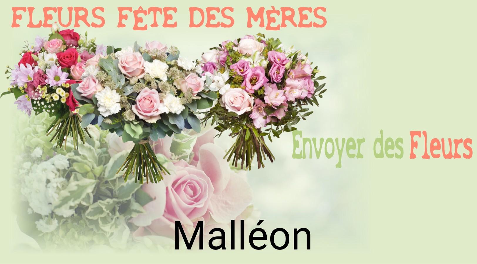 Bouquet de Fête des Mères livré à Malléon